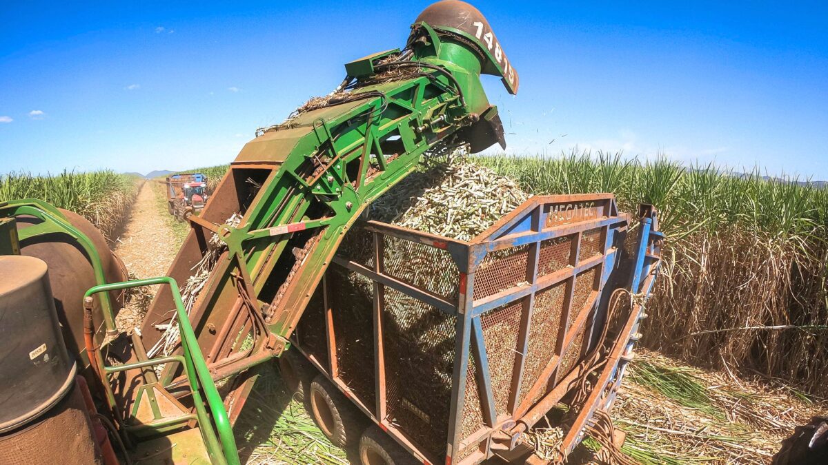 os efeitos na economia do Brasil