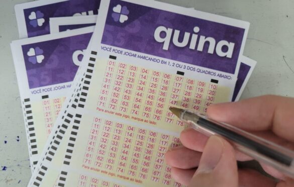Confira o resultado da Quina do concurso 6856 deste sábado (18)