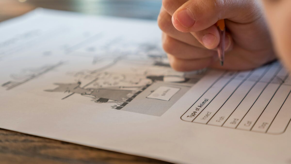 Gabarito oficial do CNU 2025: quando saem as respostas