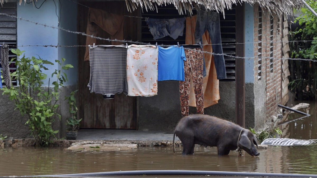 ONG denuncia “genocídio silencioso” em Cuba