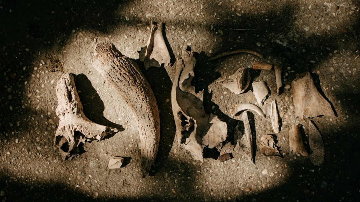 10 principais descobertas arqueológicas de 2025